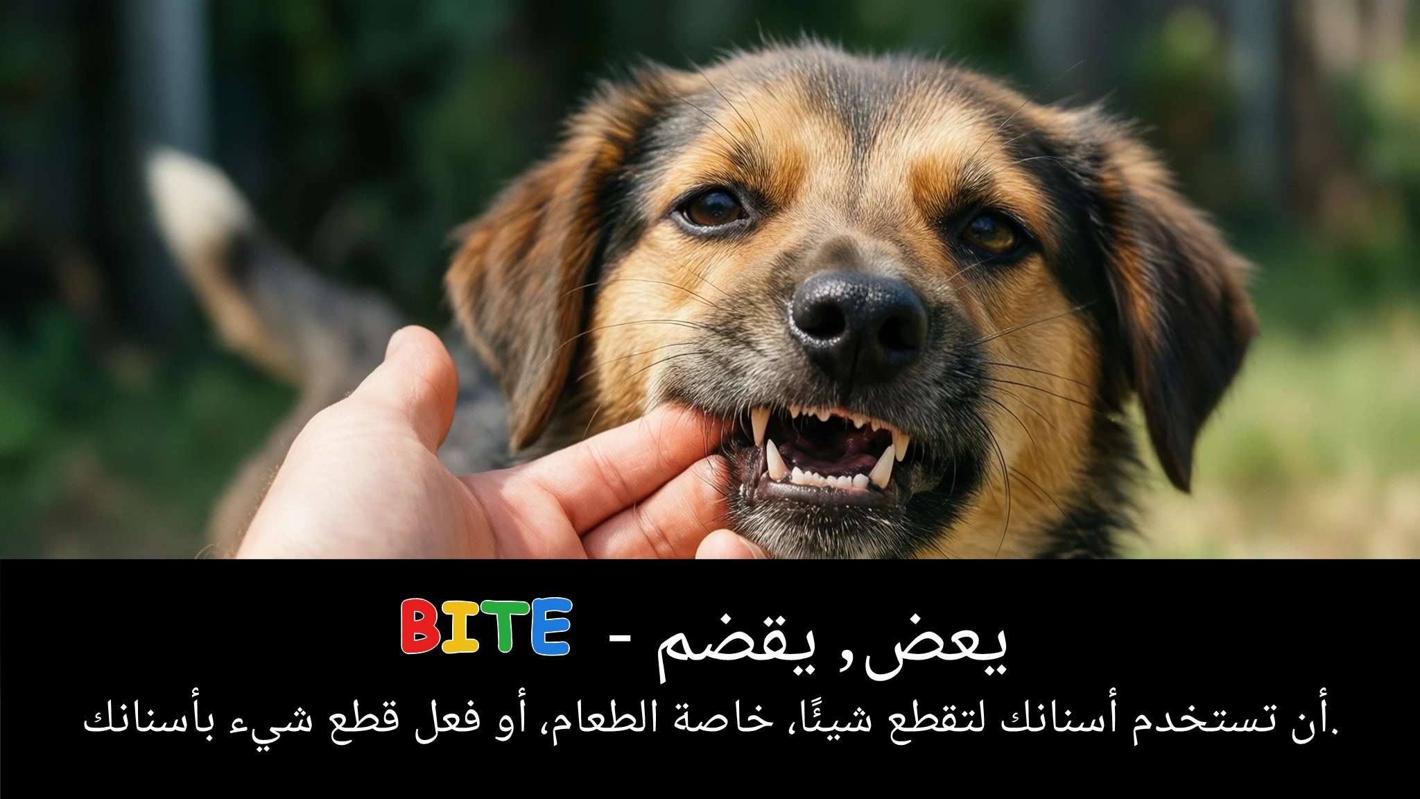 Arabic Illustration for bite